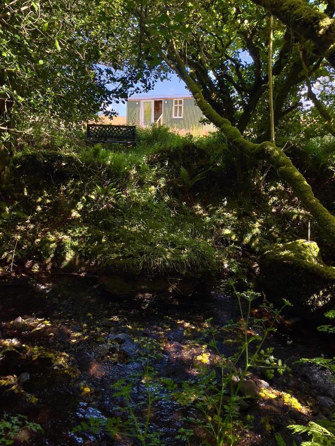 Stepping Stones Glamping 'The Olive' Villa Bantry Luaran gambar