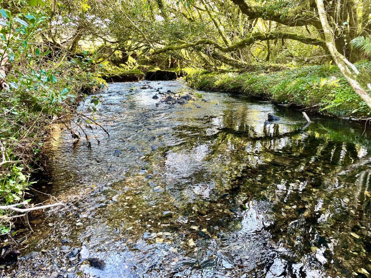 Stepping Stones Glamping 'The Olive' Villa Bantry Luaran gambar