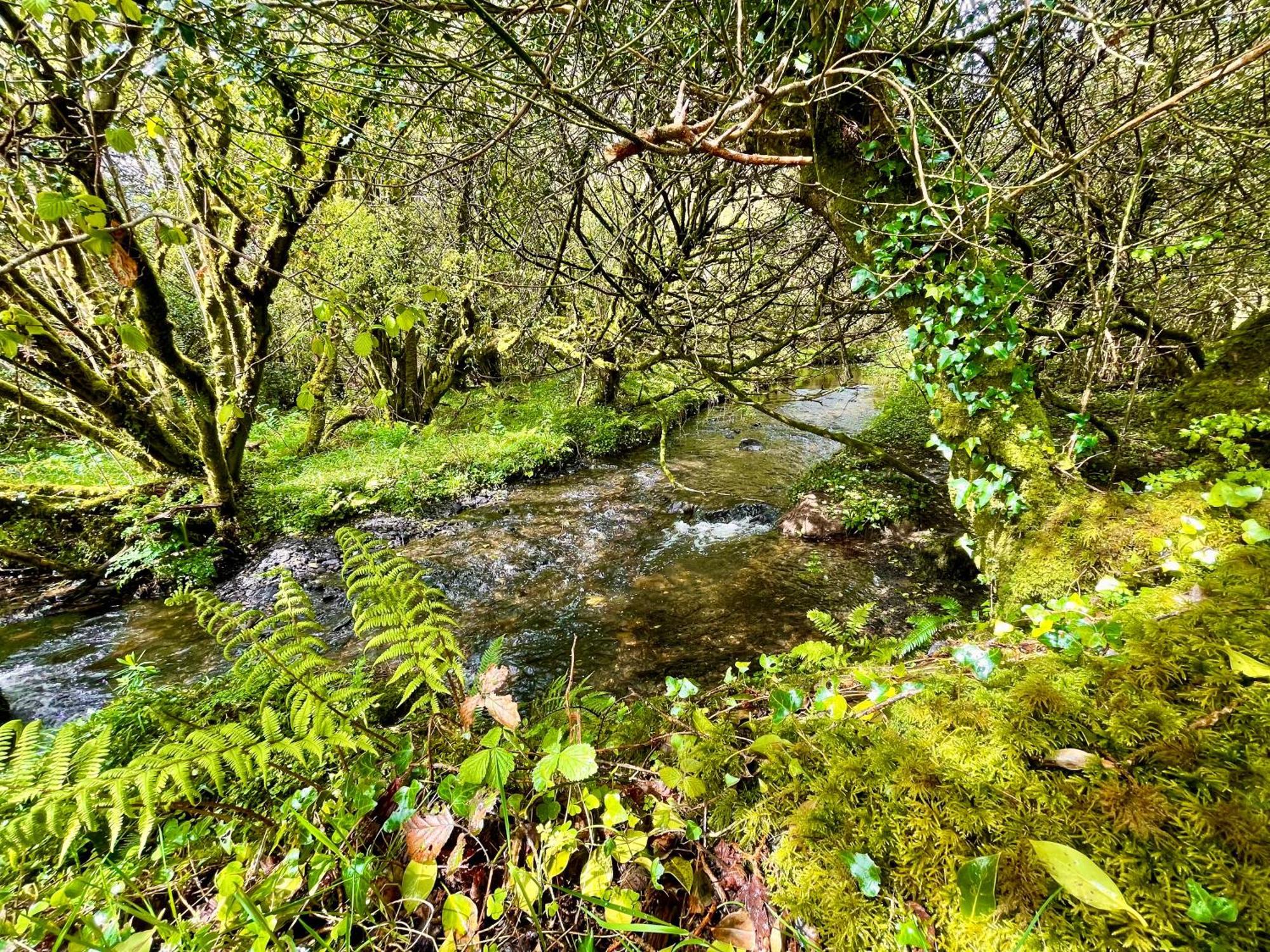 Stepping Stones Glamping 'The Olive' Villa Bantry Luaran gambar